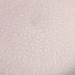 Leonardo Tellerset MATERA 12-teilig Rosé Keramik -Kaffee Espresso Verkäufe 221 026050 5 K