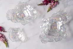 Leonardo Muschelschale POESIA 38x29 5 Leonardo Muschelschale POESIA 38x29 -Kaffee Espresso Verkäufe 221 038932 2 K