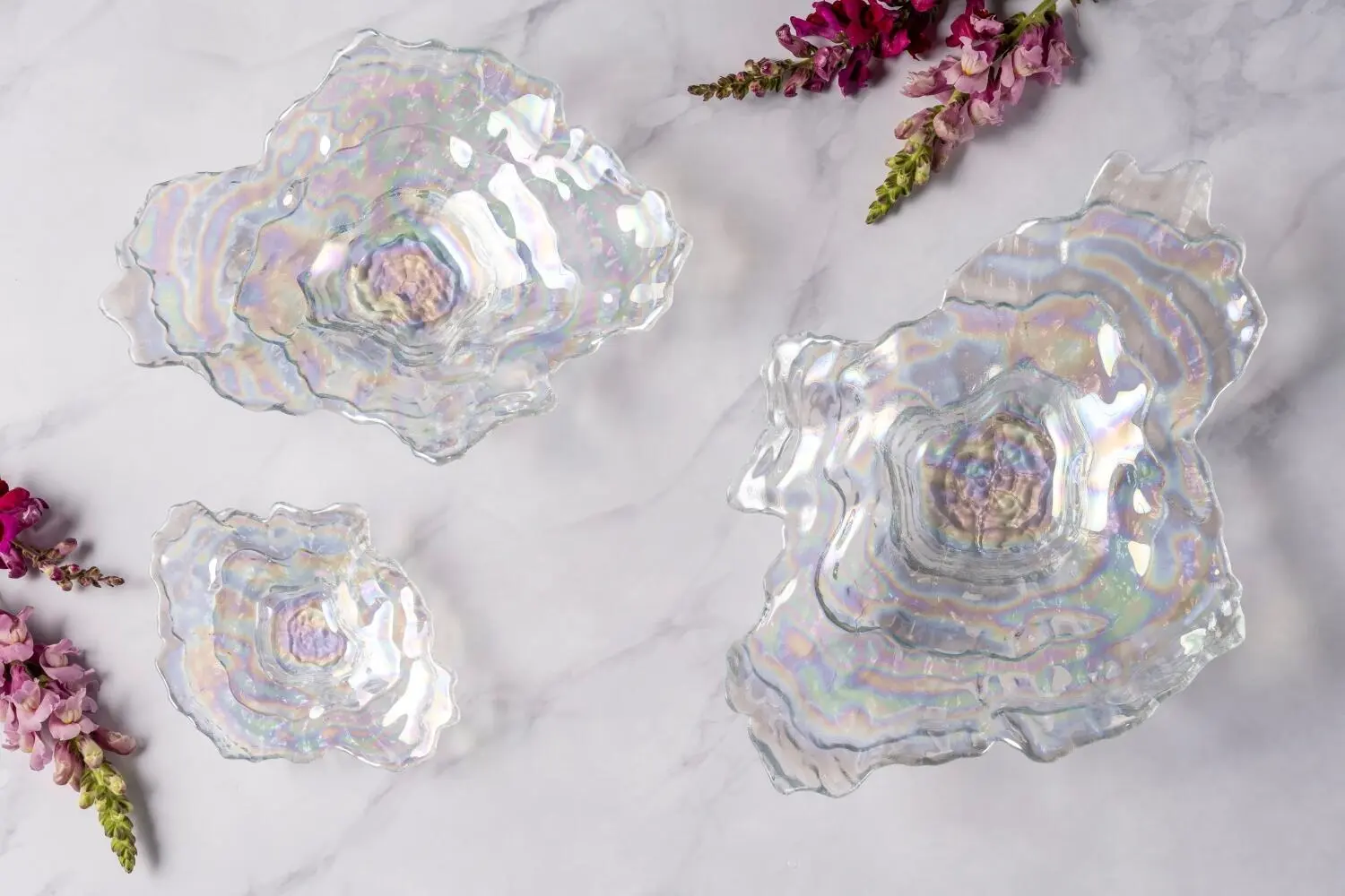 Leonardo Muschelschale POESIA 38x29 3 Leonardo Muschelschale POESIA 38x29 – Bild 3